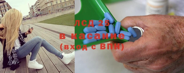 эйфоретик Алзамай