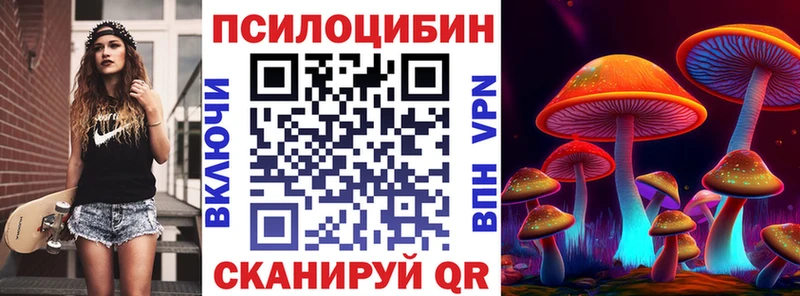 Галлюциногенные грибы Psilocybine cubensis  Котельники 
